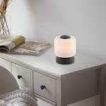 Stolná LED lampa Paul Neuhaus Bota, antracitová farba, sklo, stmievateľná