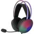 WHITE SHARK Firefly Black