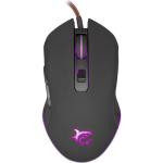 WHITE SHARK Cyrus Black