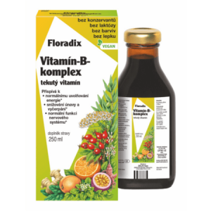SALUS Floradix vitamín B-komplex 250 ml