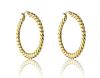 Marc Malone Pozlátené kruhy Hannah Gold Earrings MCE23016G