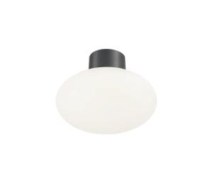 Ideal Lux Ideal Lux - Vonkajšie stropné svietidlo CLIO 1xE27/42W/230V IP44 antracit