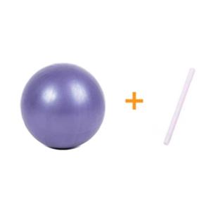 Sportago Pilates Lopta 25 cm - fialová