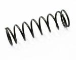 Strend Pro Pružina RG1027S • náhradná 2110127