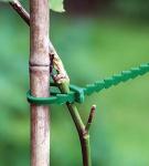 Páska Garden HG6171-A, viazacia na rastliny, 80 ks, zelená, 120 mm