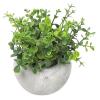 Oregano MagicHome, 15 cm, v cementovom črepníku, umelé