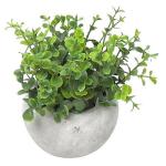 Oregano MagicHome, 15 cm, v cementovom črepníku, umelé