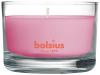Vonná sviečka Bolsius Jar True Scents 50/80 mm, magnólia, v skle