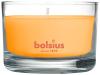 Vonná sviečka Bolsius Jar True Scents 50/80 mm, mango, v skle