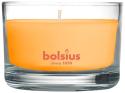 Vonná sviečka Bolsius Jar True Scents 50/80 mm, mango, v skle