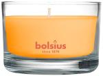Vonná sviečka Bolsius Jar True Scents 50/80 mm, mango, v skle