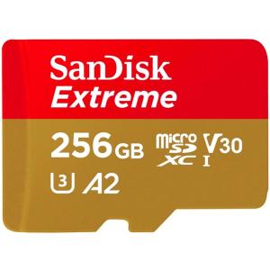 Sandisk Extreme micro SDXC 256GB + ada