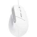 Trust Bayo II Ergonomic Vertical mouse USB White
