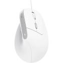 Trust Bayo II Ergonomic Vertical mouse USB White