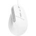 Trust Bayo II Ergonomic Vertical mouse USB White
