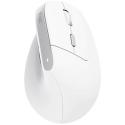 Trust Bayo II Ergonomic Vertical mouse White
