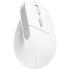 Trust Bayo II Ergonomic Vertical mouse White