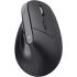 Trust Bayo+ Ergonomic Wireless mouse Black