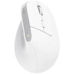 Trust Bayo+ Ergonomic Wireless mouse White