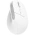 Trust Bayo+ Ergonomic Wireless mouse White