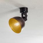 Stropné svietidlo Trial, 1-plameňové, čierne/zlaté