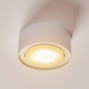 Stropné bodové svetlá Flea z ocele, biele