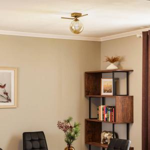 Stropné svietidlo Imago 1G, 1-plameňové, čierne/grafitové