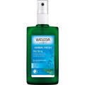 Weleda Šalviový deodorant 100 ml