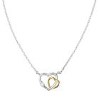 Amen Strieborný bicolor náhrdelník Srdce Love CLHBHGBZ