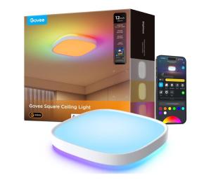 Govee Govee - LED RGBIC Stmievateľné stropné svietidlo LED/24W/230V 2700-6500K Wi-Fi