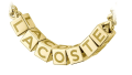 LACOSTE 2040524