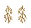 Emily Westwood Pozlátené náušnice v tvare koralov Camilla EWE250217G