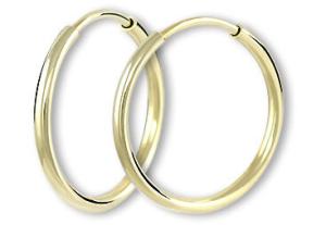 Soliter Náušnice zlaté kruhy 231 001 00486