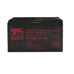 T6 Power RBC17 - battery KIT