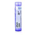 ALLIUM CEPA 30CH granule 4 g