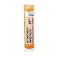 ANTIMONIUM CRUDUM 15CH granule 4 g