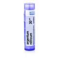 ARGENTUM NITRICUM 30CH granule 4 g