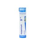 HISTAMINUM 9CH granule 4 g