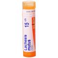 LACHESIS MUTUS 15CH granule 4 g