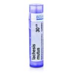 LACHESIS MUTUS 30CH granule 4 g