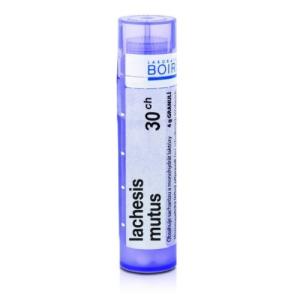 LACHESIS MUTUS 30CH granule 4 g