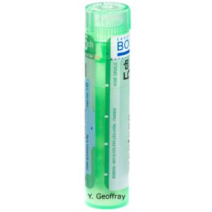 GRAPHITES CH5 granule 4 g