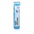 SEPIA OFFICINALIS CH9 granule 4 g