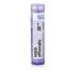 SEPIA OFFICINALIS 30CH granule 4 g