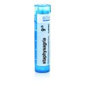STAPHYSAGRIA 9CH granule 4 g