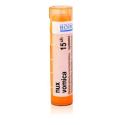 NUX VOMICA 15CH granule 4 g
