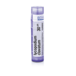 LYCOPODIUM CLAVATUM 30CH granule 4 g