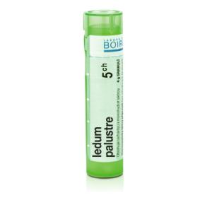 LEDUM PALUSTRE 5CH granule 4 g