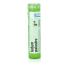 LEDUM PALUSTRE 5CH granule 4 g