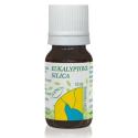HANUS Silica eukalyptová 10 ml